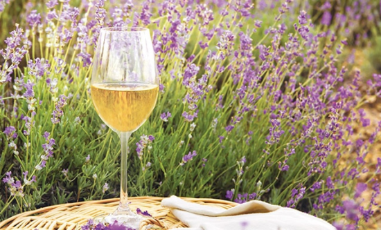 Chef Led Aix Market Tour & Provencal Lunch