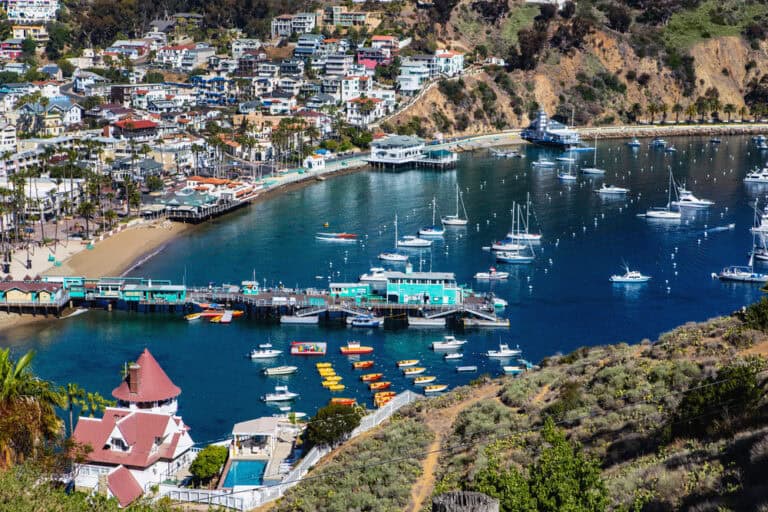 Catalina Island, California