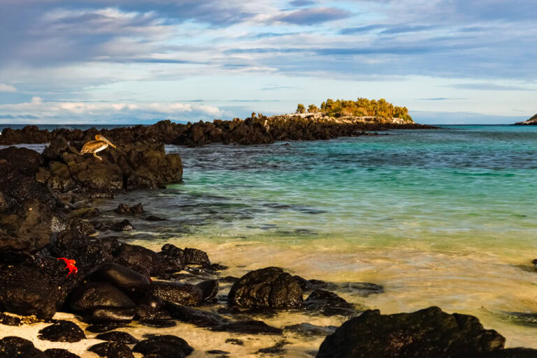 Santa Fe Island, Galapagos