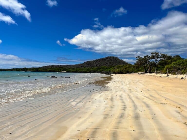 Bahia Bowditch, Santa Cruz