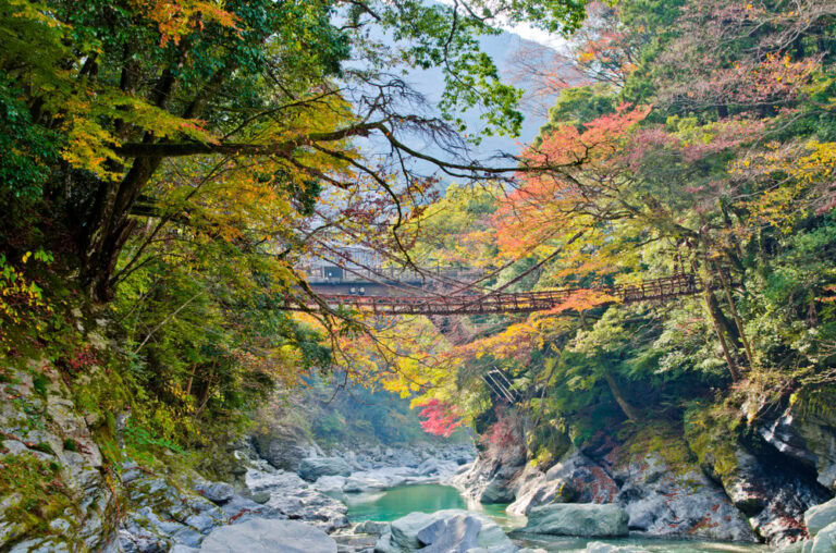 Tokushima, Japan