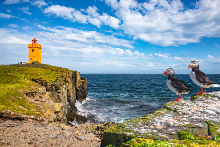 Grimsey Island, Iceland