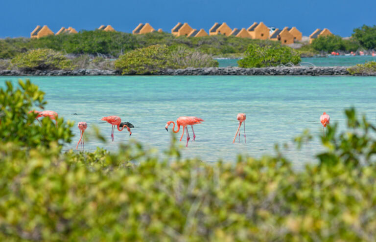 Kralendijk, Bonaire