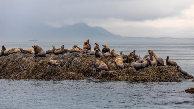 Inian Island, Alaska