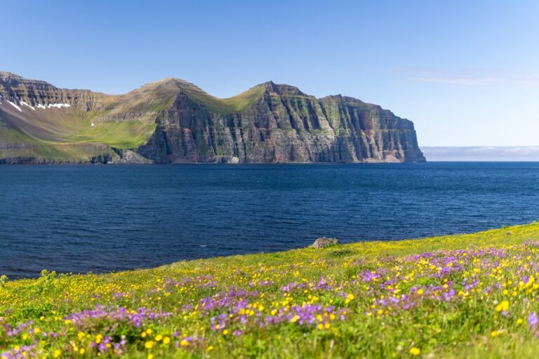 Denmark Strait