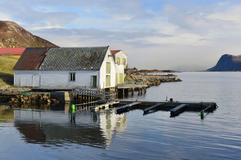 Torvik