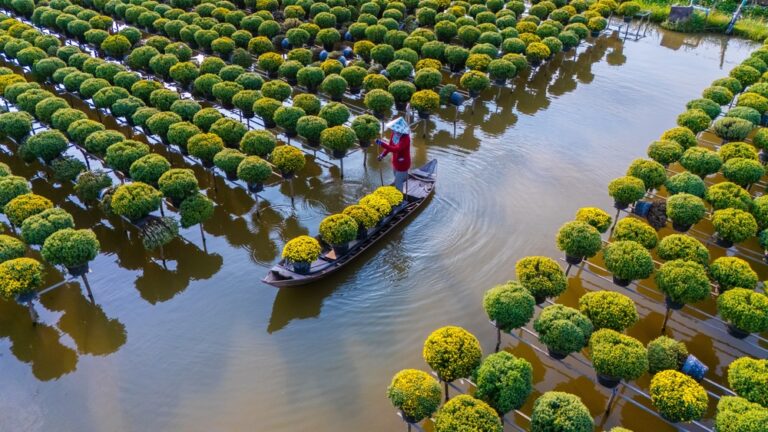 Sa Dec, Vietnam