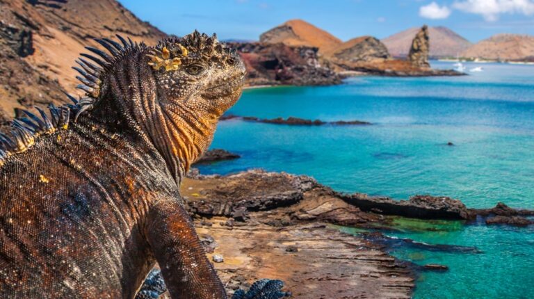 Galapágos Islands