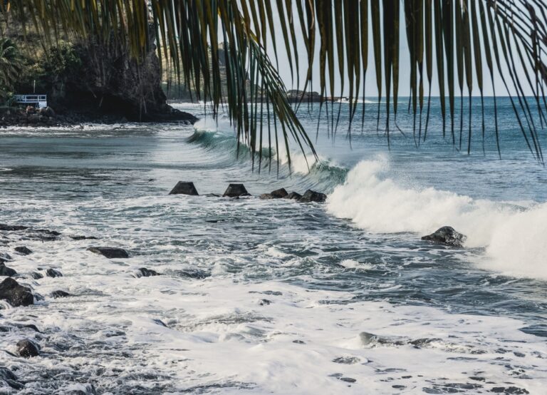 Little Bay, Montserrat