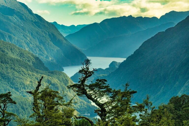 Doubtful Sound, New Zealand