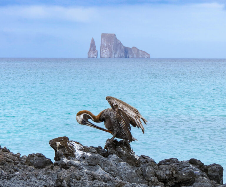 Kicker Rock, Ecuador