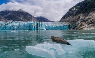 Dawes Glacier Endicott Arm Alaska