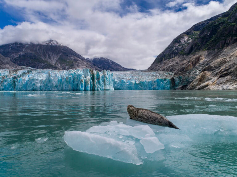 Endicott Arm & Dawes Glacier 