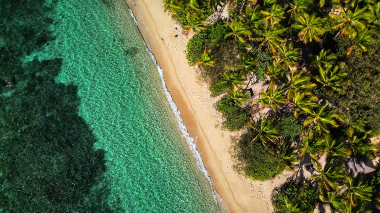 Savusavu, Fiji