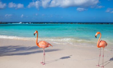 Aruba, Caribbean