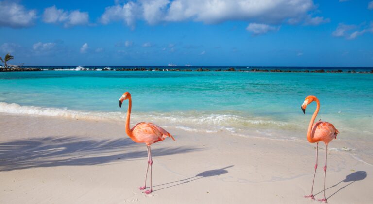 Oranjestad, Aruba