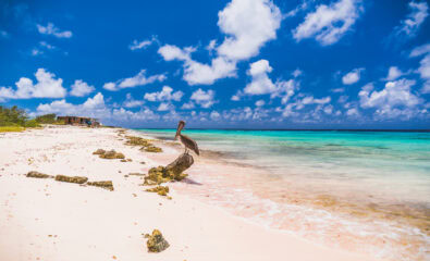 Bonaire, Caribbean