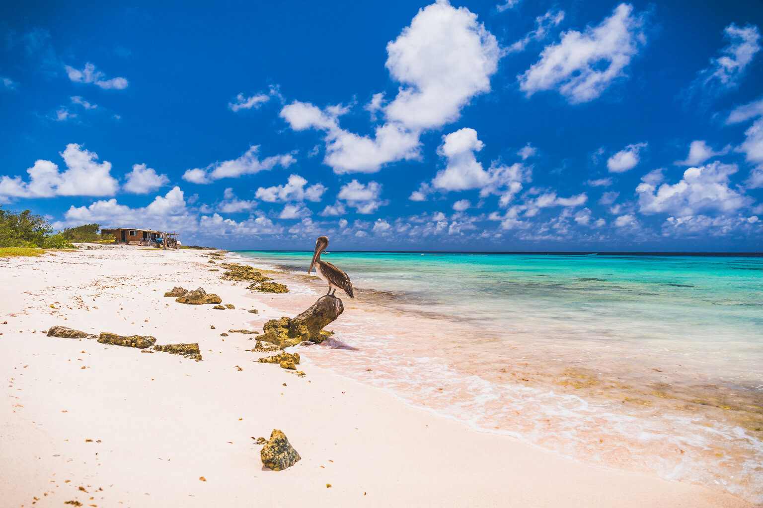 Kralendijk, Bonaire