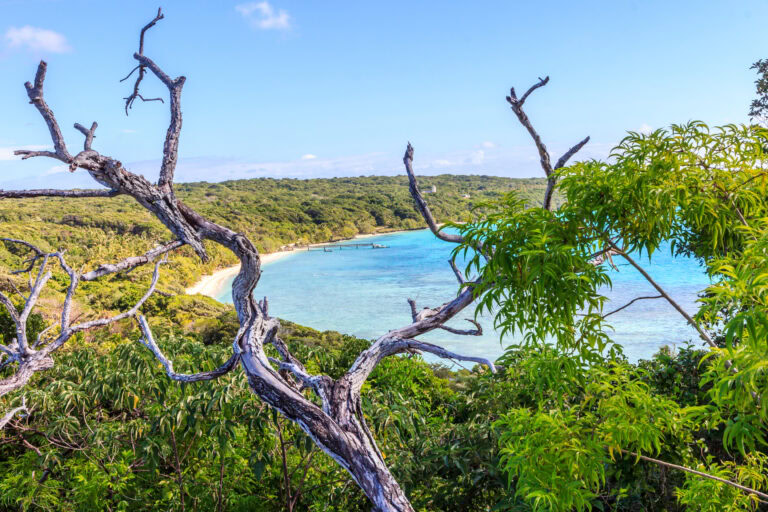 Lifou, New Caledonia