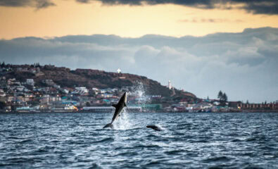 Mossel Bay, South Africa.