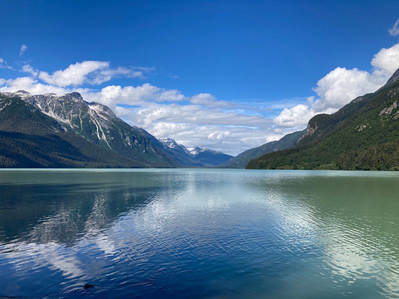 Haines