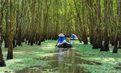 Mekong, Vietnam