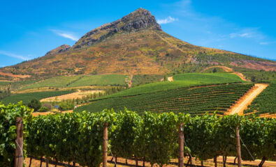 Stellenbosch, South Africa