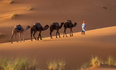 Morocco