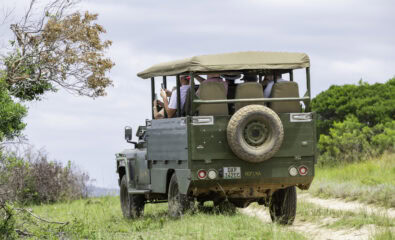 Private Game Reserve, Port Elizabeth, South Africa