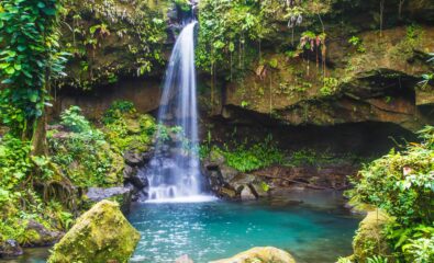 Emerald Pool, Dominica