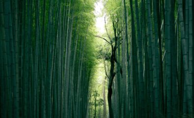 Japan,  Regent Seven Seas 