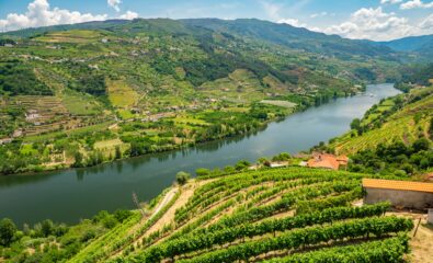  Duro Valley Portugal