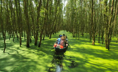 Tra Su Cajuput, Vietnam, Amawaterways