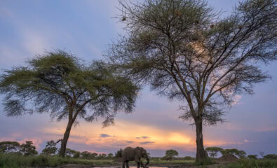 Amawaterways, Africa