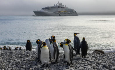 Silversea, Antarctica Fortuna, Bay, Penguins
