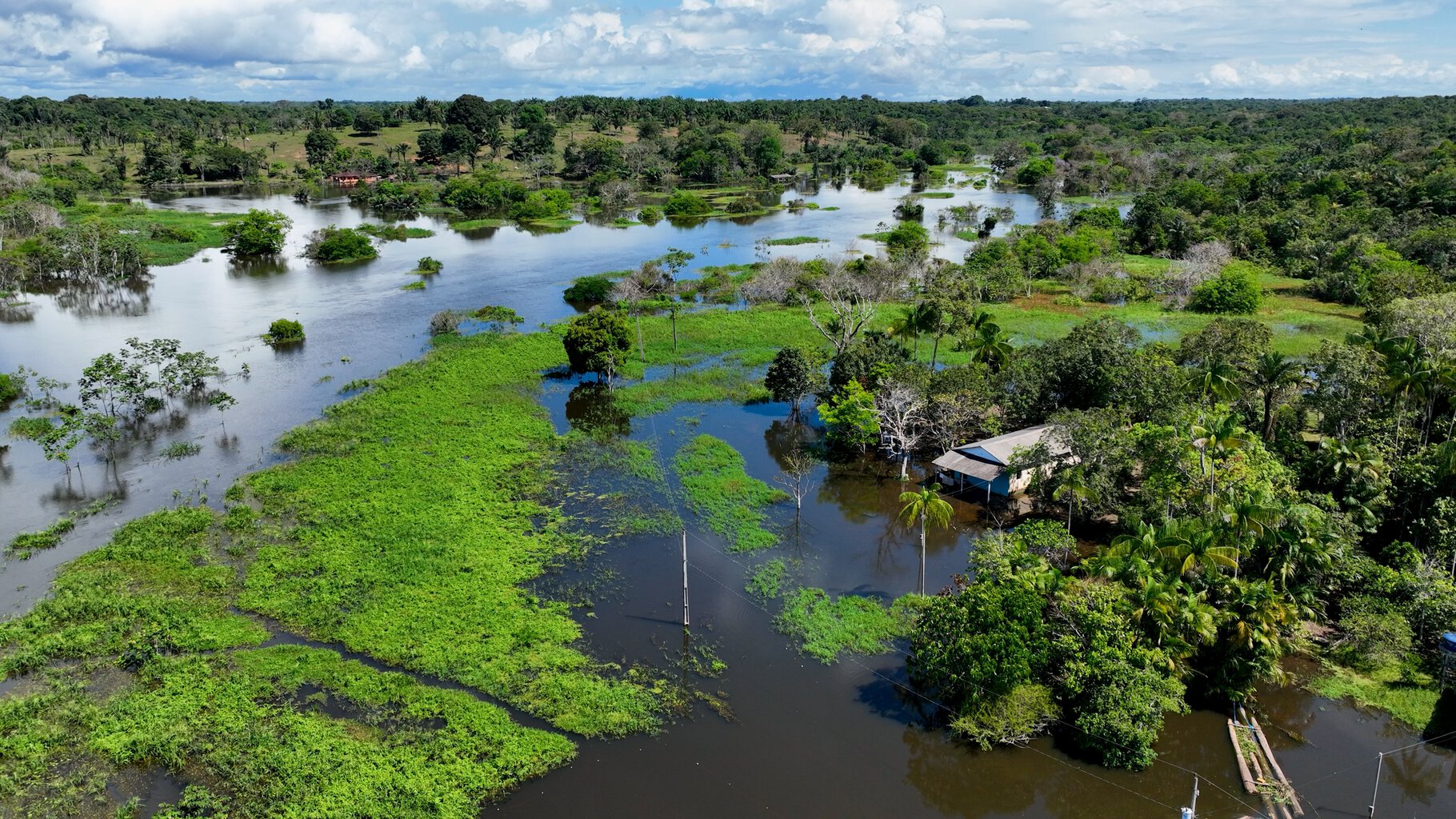 Manaus